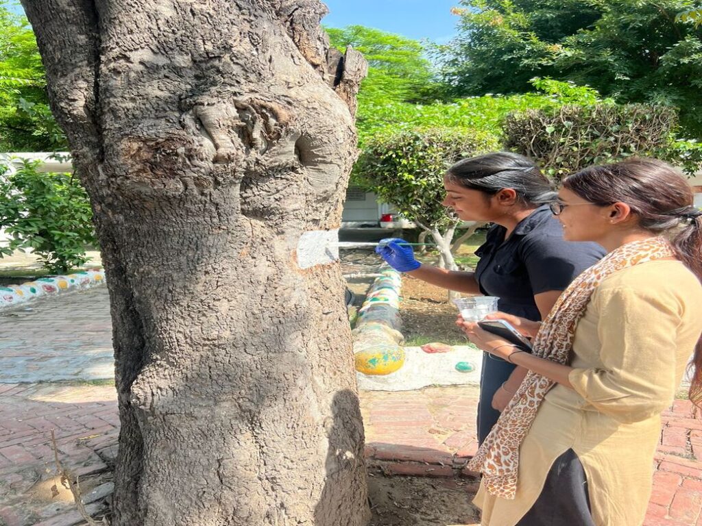 WhatsApp Image 2023-09-27 at 3.10.52 PM