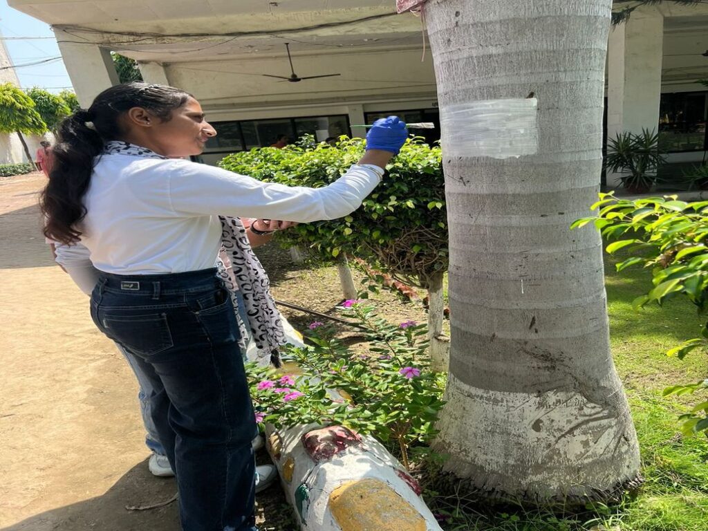 WhatsApp Image 2023-09-27 at 3.10.54 PM